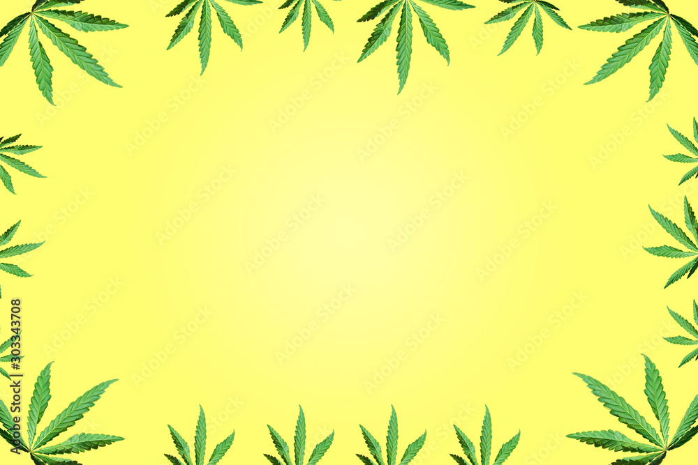 Green cannabis leaves, marijuana on white background. Hemp, ganj Green cannabis leaves, marijuana on white background. Hemp, ganj