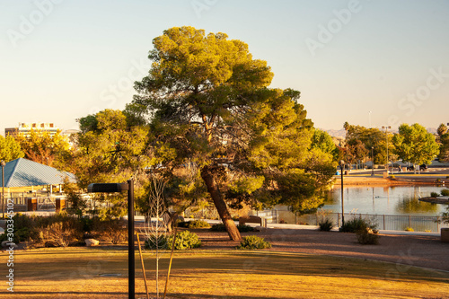 Lorenzi Park, Las Vegas, NV. photo