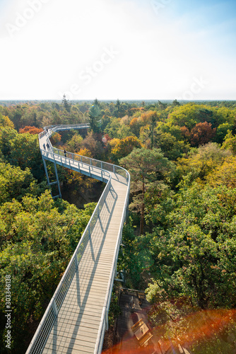 A beautiful view of the treetop path, located in Beelitz, a small city near Berlin in Brandemburg, Germany. Very colorful, sunny autumn day with lush foliage.