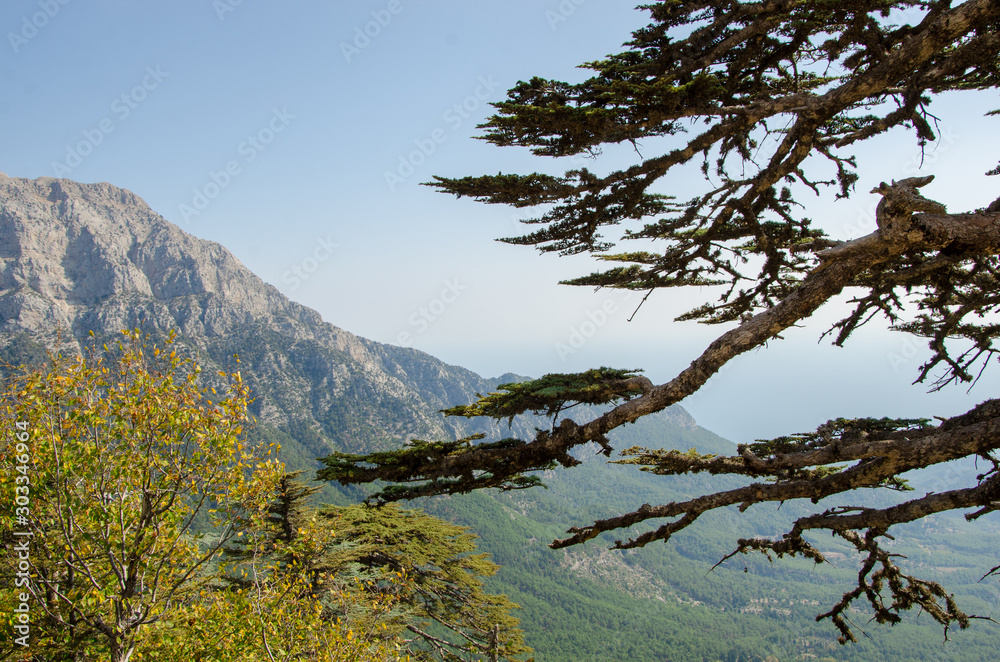 Autumn mountains in Turkey (Kemer). Beautiful view of the landscape from above. Autumn mountains in Turkey (Kemer). Beautiful view of the landscape from above.