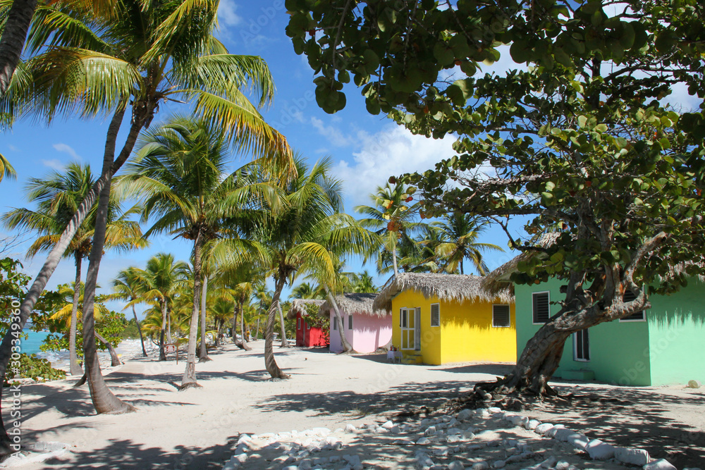Foto Isla Catalina II