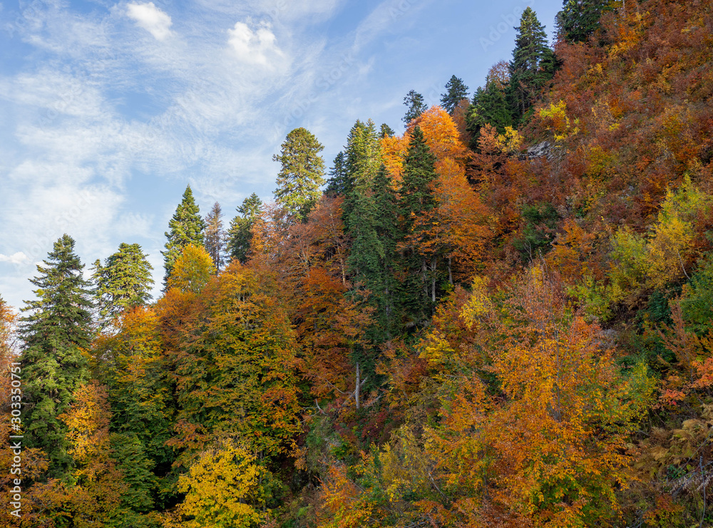 Сolorful autumn forest on a mountainside and blue sky