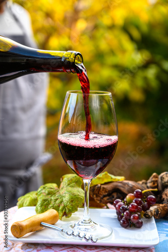 Pouring yound red beaujolais wine in glass during celebration of end of harvest and first sale release on third Thursday of November in Burgundy, France photo