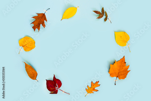 Top view of various colorful autumn leaves arranged in circle over light blue background. Copy space.