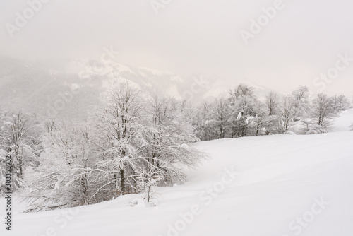 Minimalistic winter landscape in cloudy weather with snowy trees. Carpathian mountains, Landscape photography © Ivan Kmit