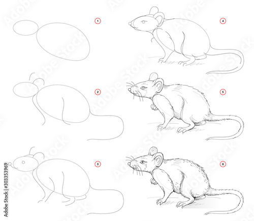 How to draw from nature sketch of cute rat. Creation step by step pencil drawing. Educational page for artists. School textbook for developing artistic skills. Hand-drawn vector image.