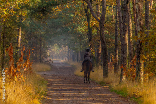 Autumn landscape with forest path and woman on a horse riding in the woods © Pixella Media Group