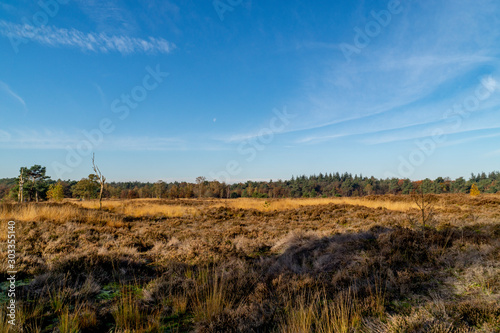 moorland landscape in autumn