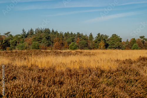 moorland landscape near Rucphen Netherlands