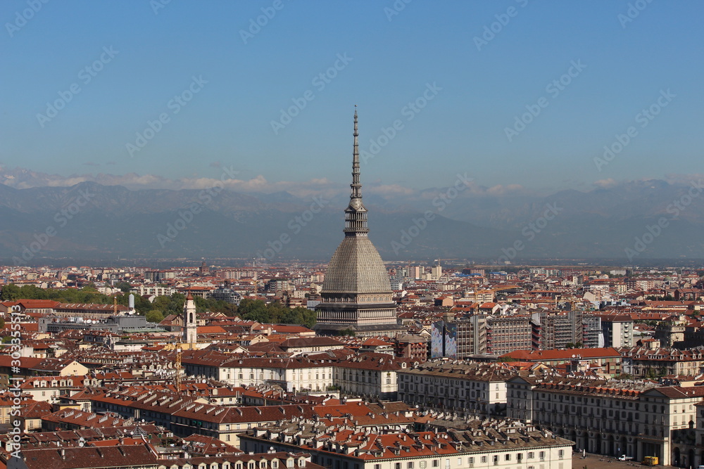 Fototapeta premium torino vista