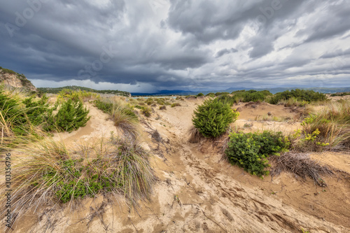 Dune vegetation Voidokilia beach storm