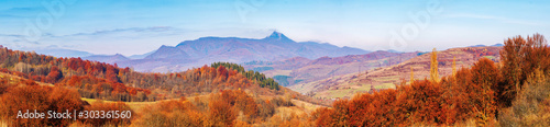 forest with red foliage on hills in autumnal countryside. panoramic view of mountainous area with gorgeous high peak pikui of watershed mountain ridge in a distance. trancarpathia, ukraine