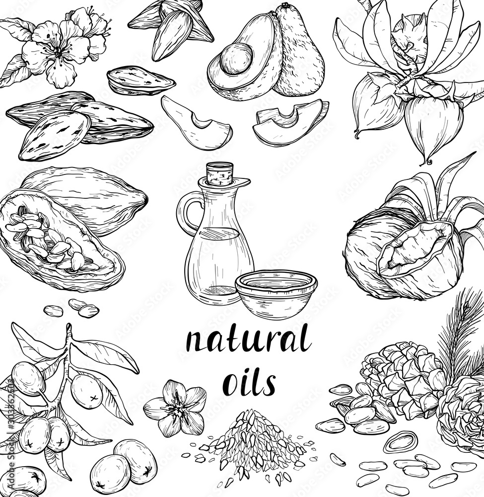 Φωτογραφία Vector set of cosmetic care ingredients. Organic hand drawn oils.
