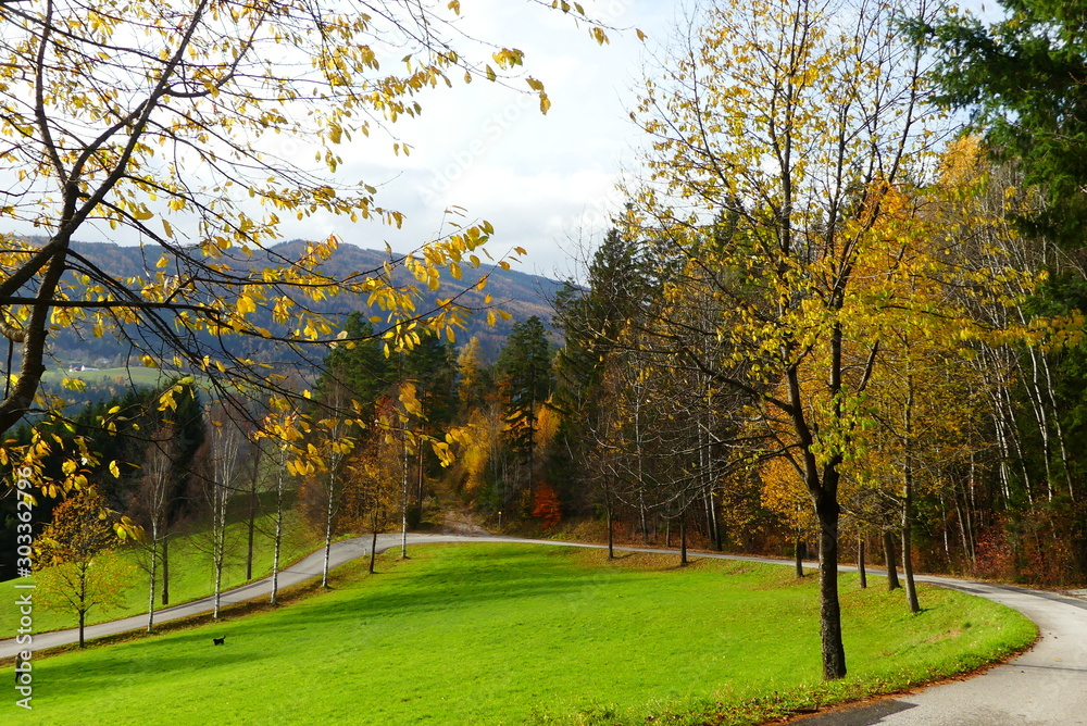 Obraz premium herbstliche Landschaft