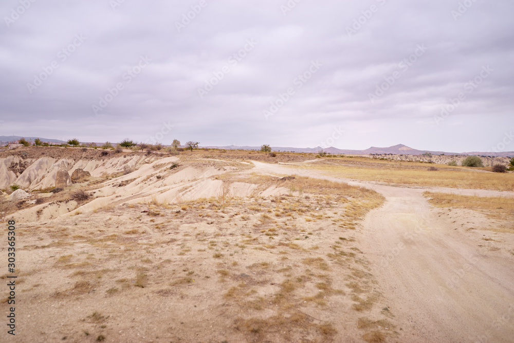 Vast desolated lands with scarce, dried up plant life. Vast desolated lands with scarce, dried up plant life.