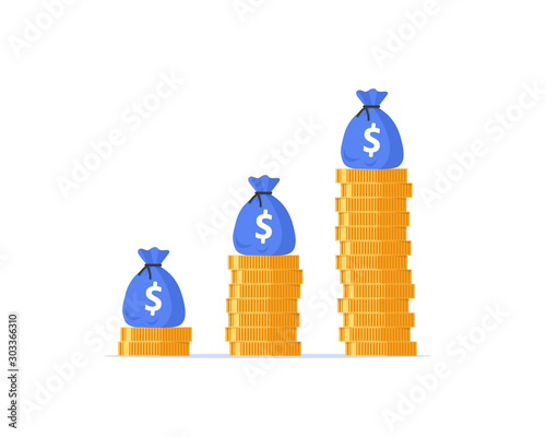 Income growth graph, return on investment chart, budget fund plan