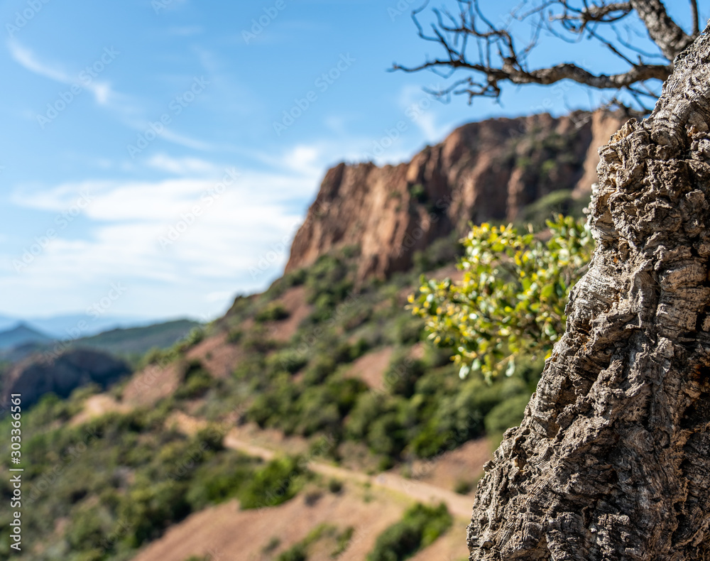 scenic view on cap roux hiking trail In the red rocks of the Esterel mountains with the blue sea of the Mediterranean scenic view on cap roux hiking trail In the red rocks of the Esterel mountains with the blue sea of the Mediterranean