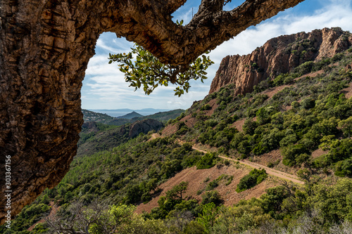 scenic view on cap roux hiking trail In the red rocks of the Esterel mountains with the blue sea of the Mediterranean