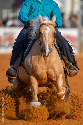 The front view of a rider stopping a horse in the sand.	