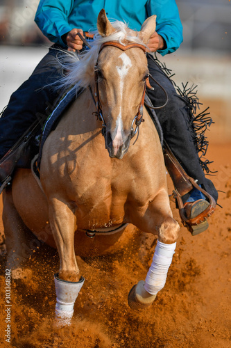 The front view of a rider stopping a horse in the sand. 