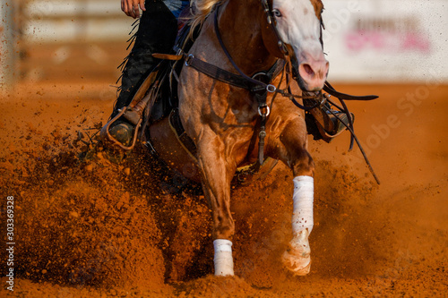 The close-up view of a rider stopping a horse in the sand. 