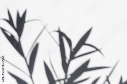 Dark gray shadows of flowers on a white wall. Abstract blurry  defocused background.
