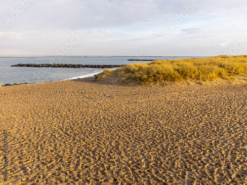 landscape with dunes  dry grass and sand texture