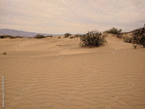 Sandy desert