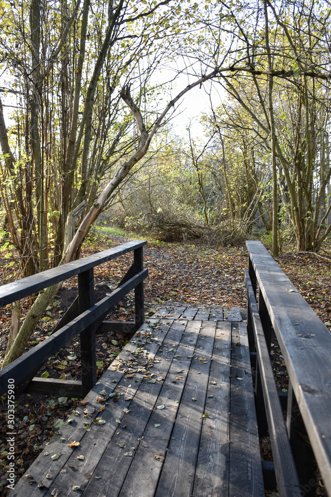 On a wooden footbridge by fall season On a wooden footbridge by fall season