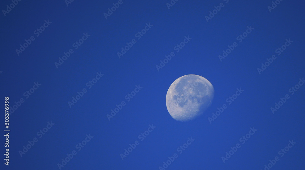 The Early Morning Moon 1