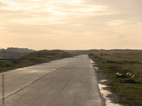 landscape with asphalt road perpektive to the horizon
