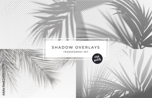 Set of shadow background overlays. Realistic Shadow mock up scenes. Transparent shadow of tropical leaves. Vector illustration