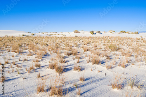 White Sands Gypsum Dunes