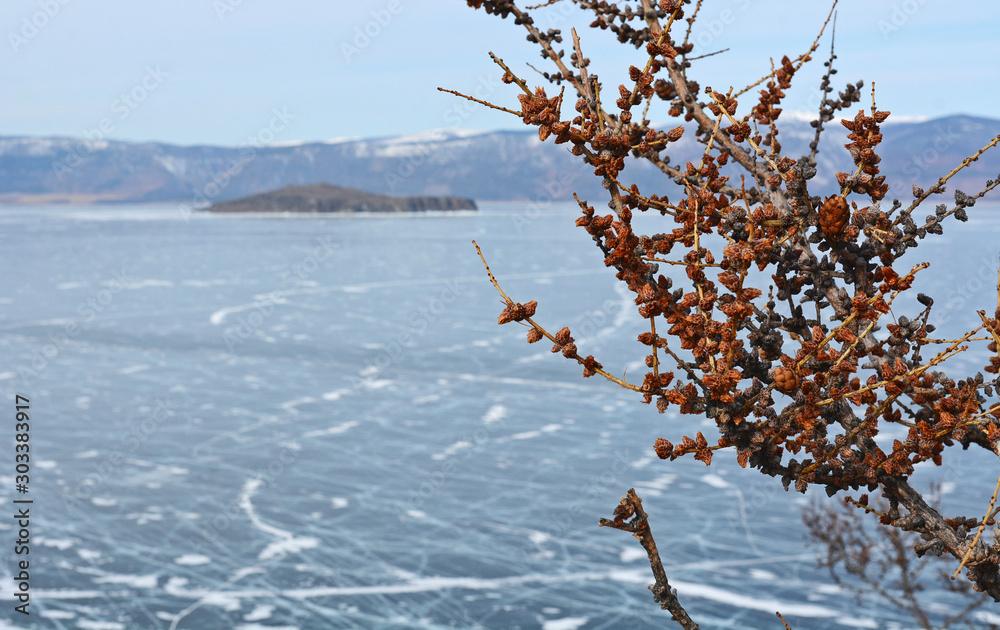 Φωτογραφία Panoramic view of Ogoy Island, the largest island in the Maloe More strait of La