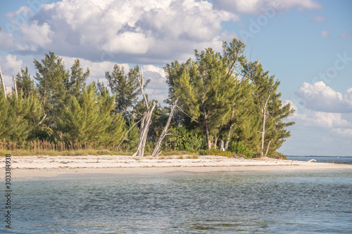 Captiva Island in Florida photo