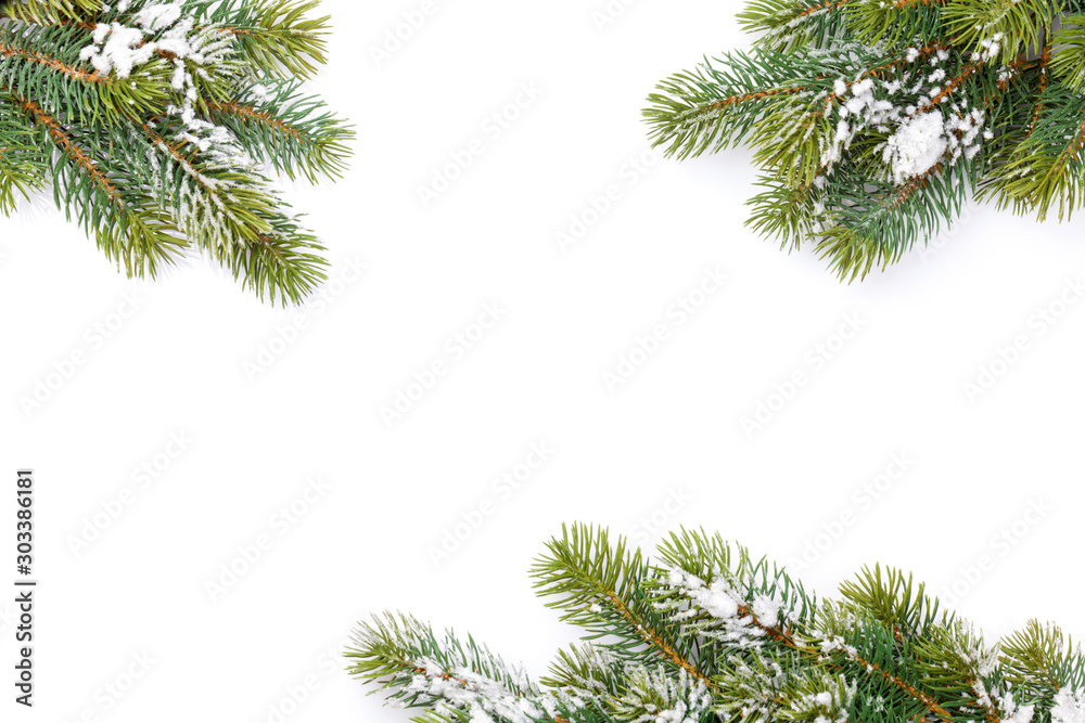 Christmas card with fir tree