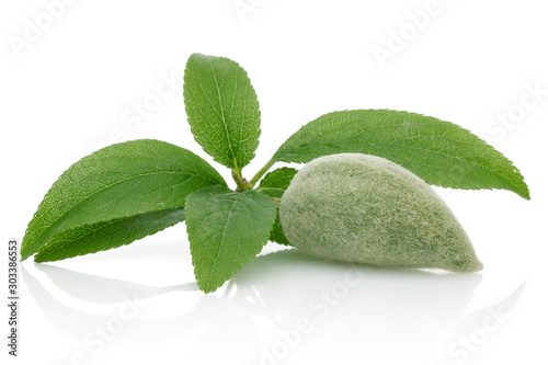 Green almond with leaves isolated on white background