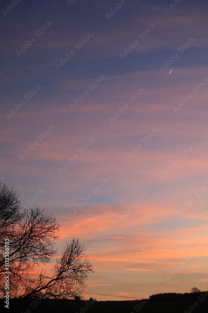 Pink clouds in blue sky with tree silouette crescent moon and plane in sky