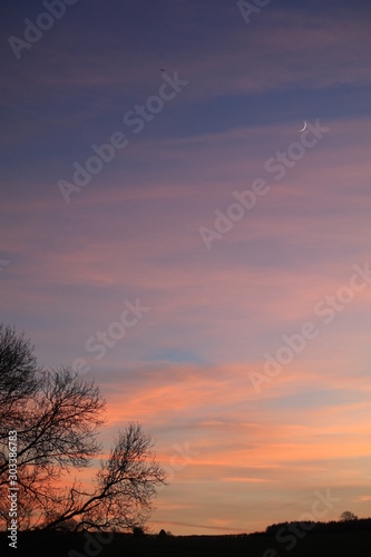 Pink clouds in blue sky with tree silouette crescent moon and plane in sky