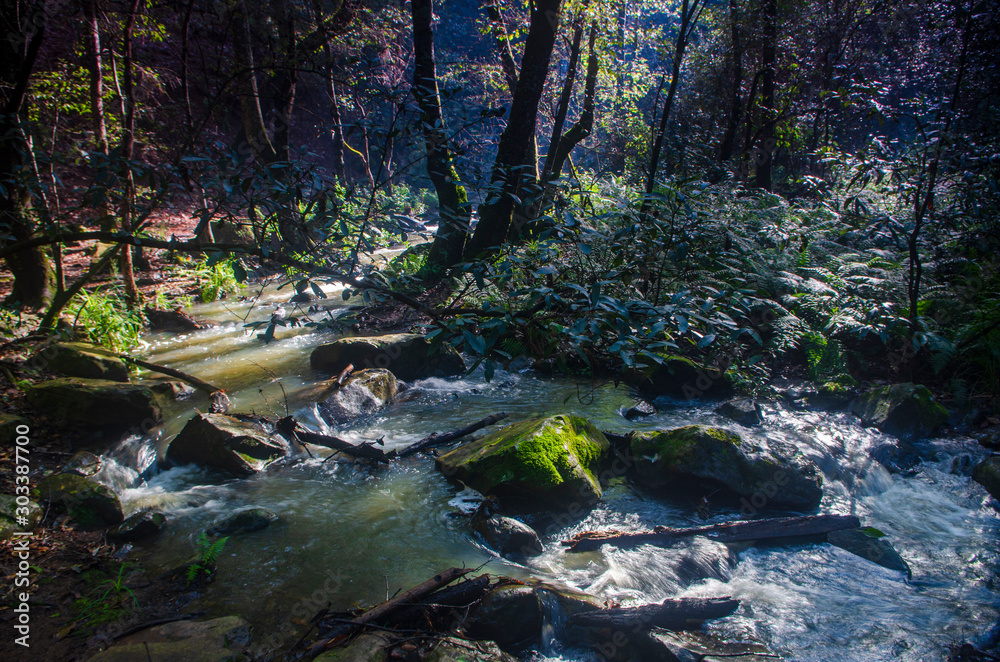 Obraz na plátně arroyo cascada
