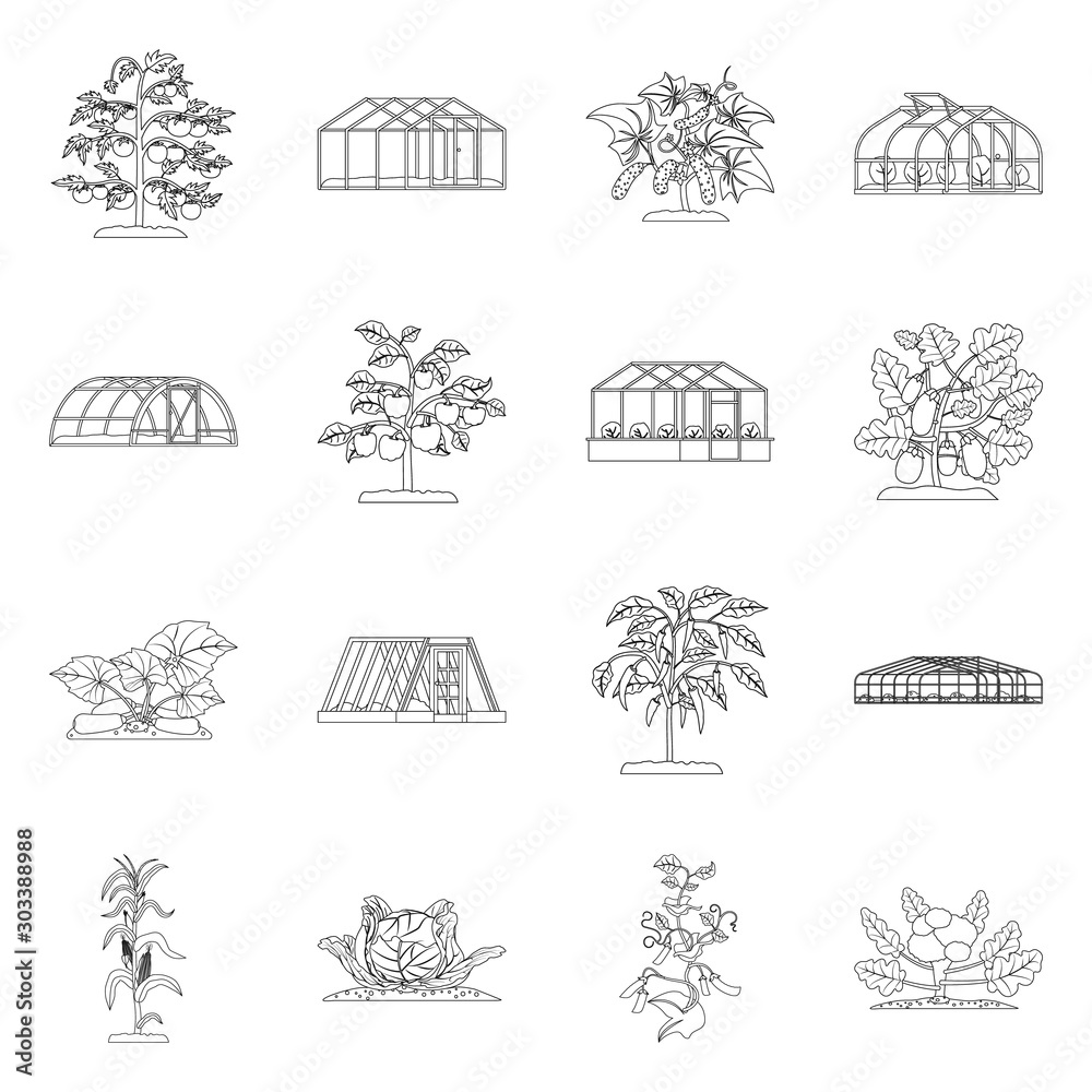 Ταπετσαρία Isolated object of greenhouse and plant symbol