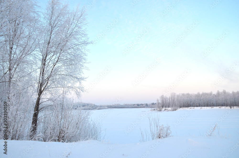 winter landscape with frozen trees and lake