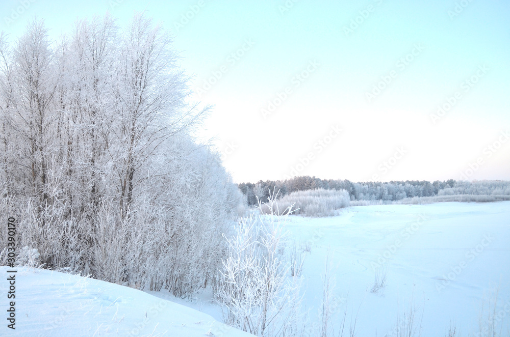 Fototapeta premium winter landscape with river and trees
