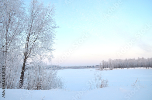 winter landscape with frozen trees and lake © Elena