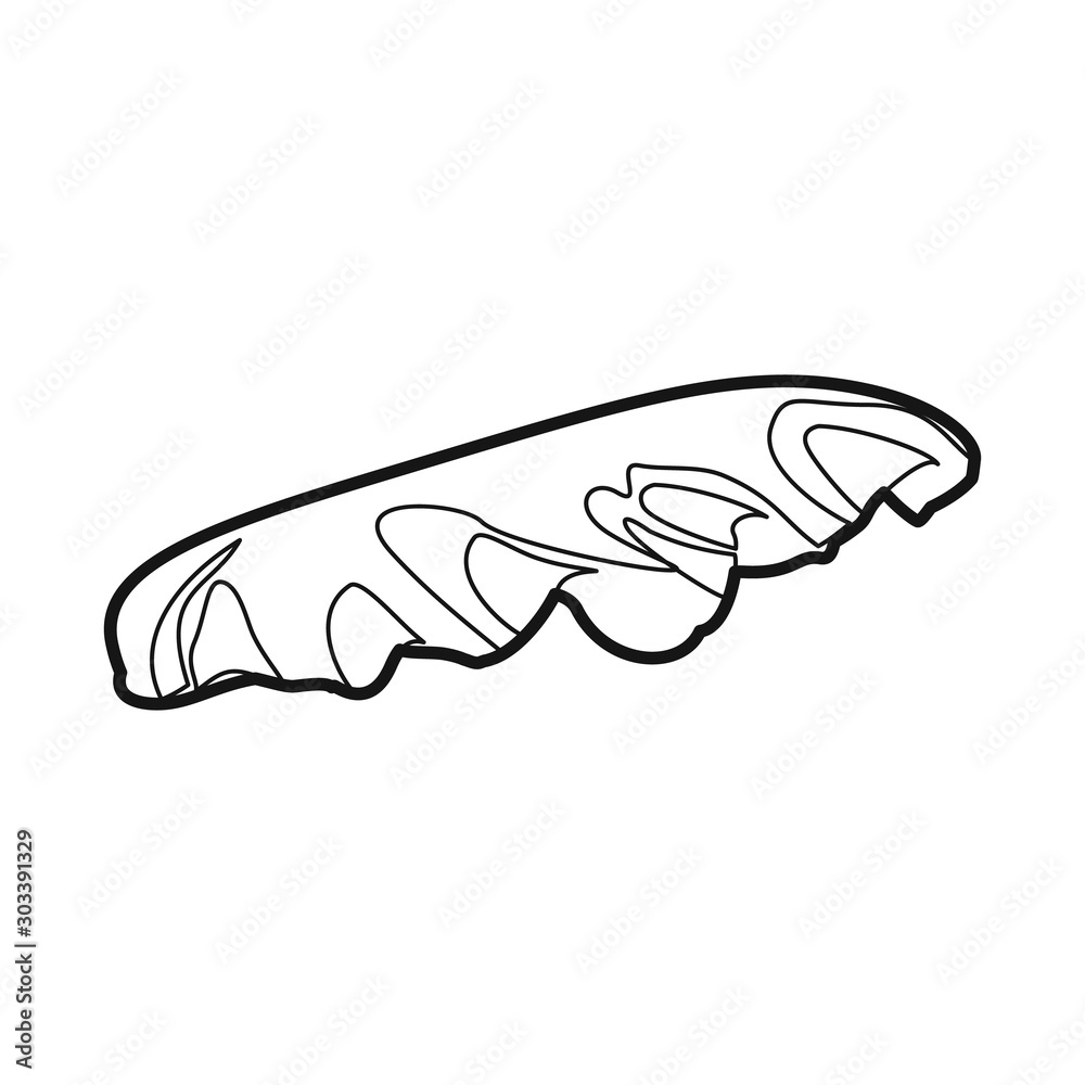 Vector illustration of lettuce and leaf symbol. Graphic of lettuce and green stock symbol for web. Vector illustration of lettuce and leaf symbol. Graphic of lettuce and green stock symbol for web.