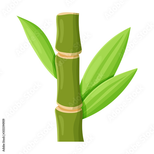 Stem of sugar cane vector icon.Cartoon vector icon isolated on white background stem of sugar cane .