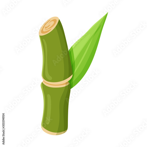 Stem of sugar cane vector icon.Cartoon vector icon isolated on white background stem of sugar cane .