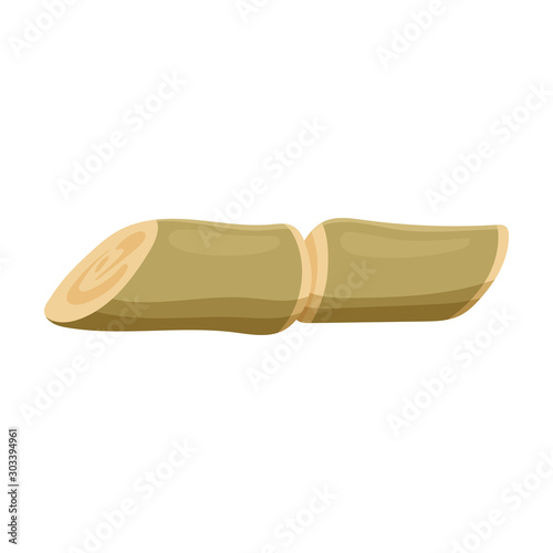 Stem of sugar cane vector icon.Cartoon vector icon isolated on white background stem of sugar cane .
