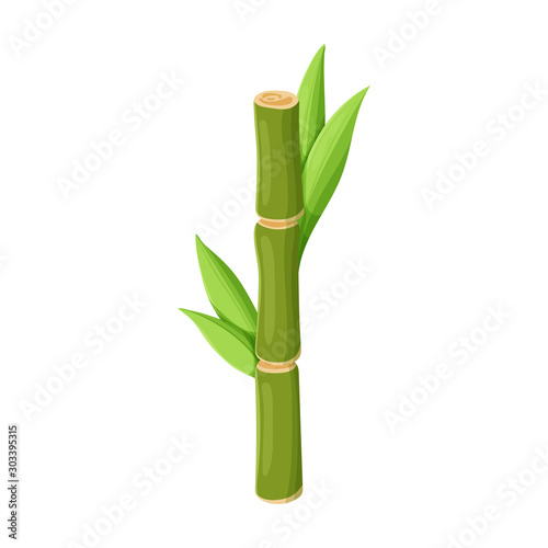 Fototapeta Naklejka Na Ścianę i Meble -  Stem of sugar cane vector icon.Cartoon vector icon isolated on white background stem of sugar cane .