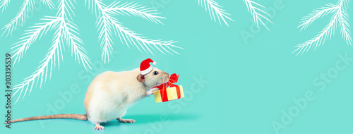 cute decorative rat with cheese gift and red bow on a mint background photo